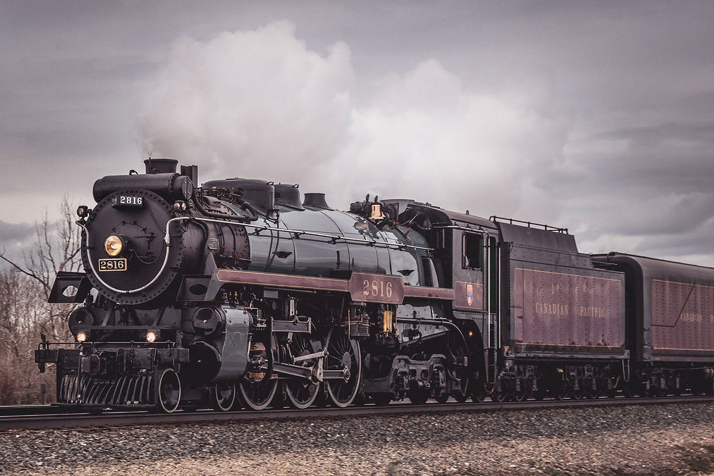 The Empress 2816