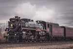 The Empress 2816