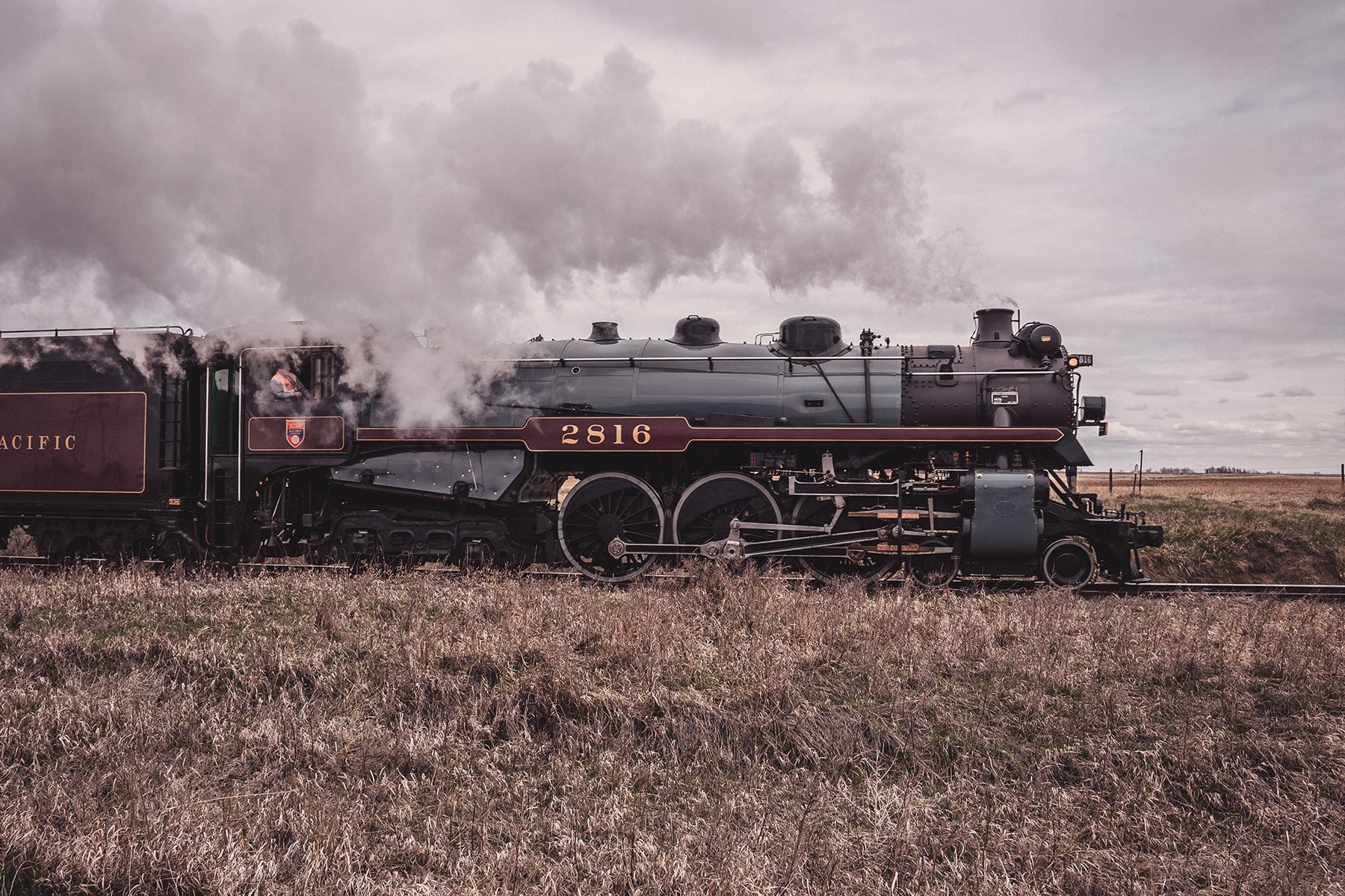 Chasing the Empress 2816