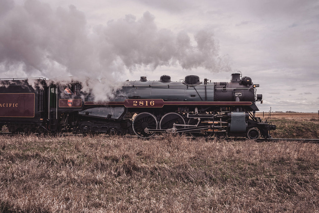 Chasing the Empress 2816