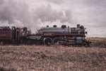 Chasing the Empress 2816