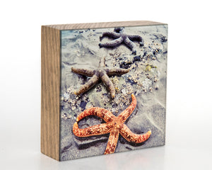 Starfish 5x5 Photo Block