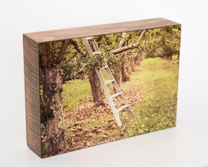 Apple Orchard 5x7 Photo Block
