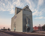 Stavely Grain Elevator in Alberta