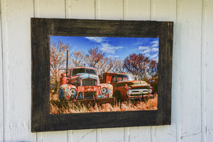 "Bert and Ernie" 20x30 Barn Wood Frame