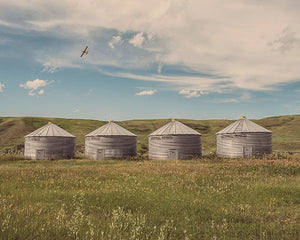 A Group Of Silo's On The Prairie
