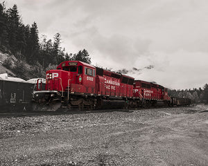 CP Rail Train in fog - 8x10