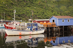 Fisherman Village In Newfoundland