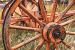 Orange Wagon Wheel