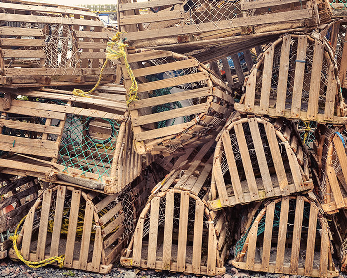 Lobster Traps In Newfoundland