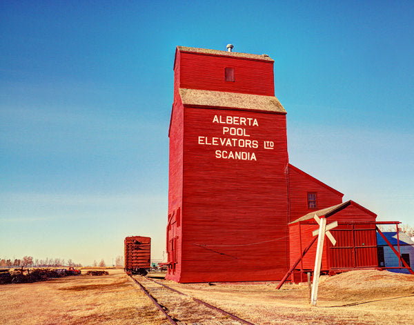 Alberta Pool Elevator In Scandia - 8x10