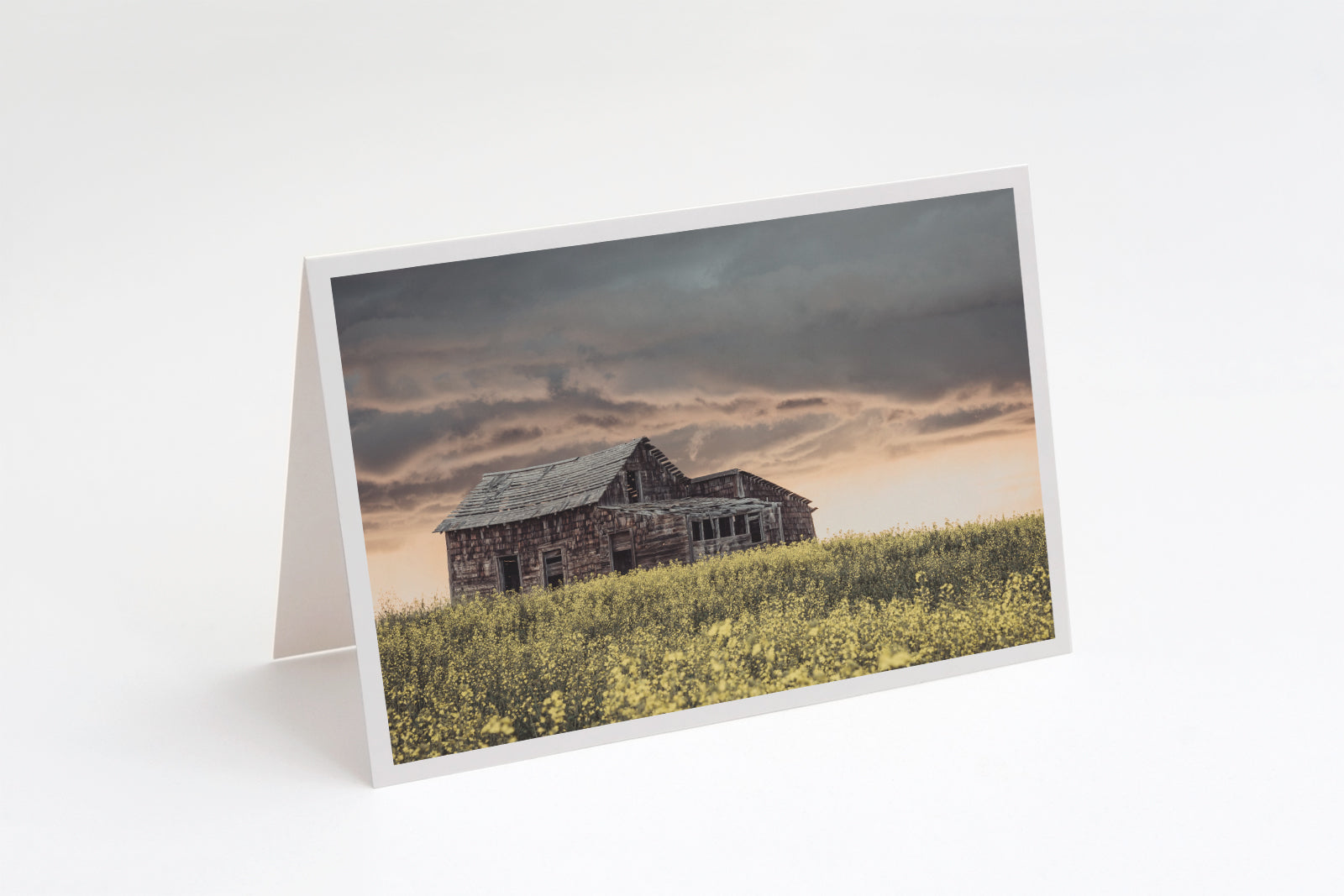 Old Homestead In Canola Greeting Card